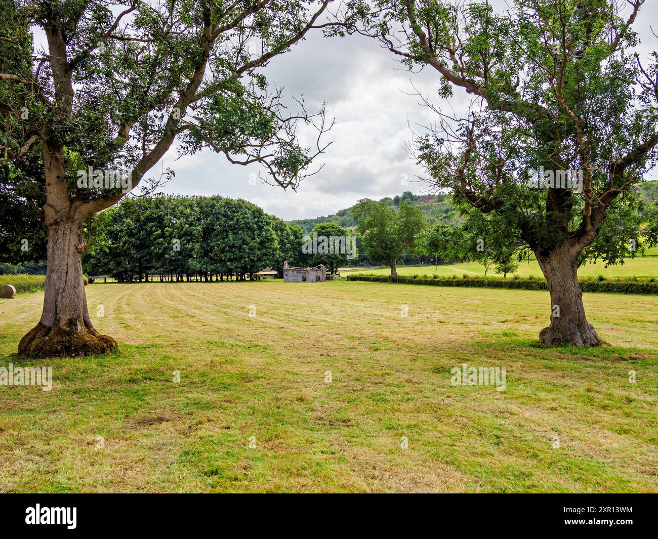 Tranquil countryside with lush green fields, mature trees, and a distant view of a rustic stone building. Stock Photo