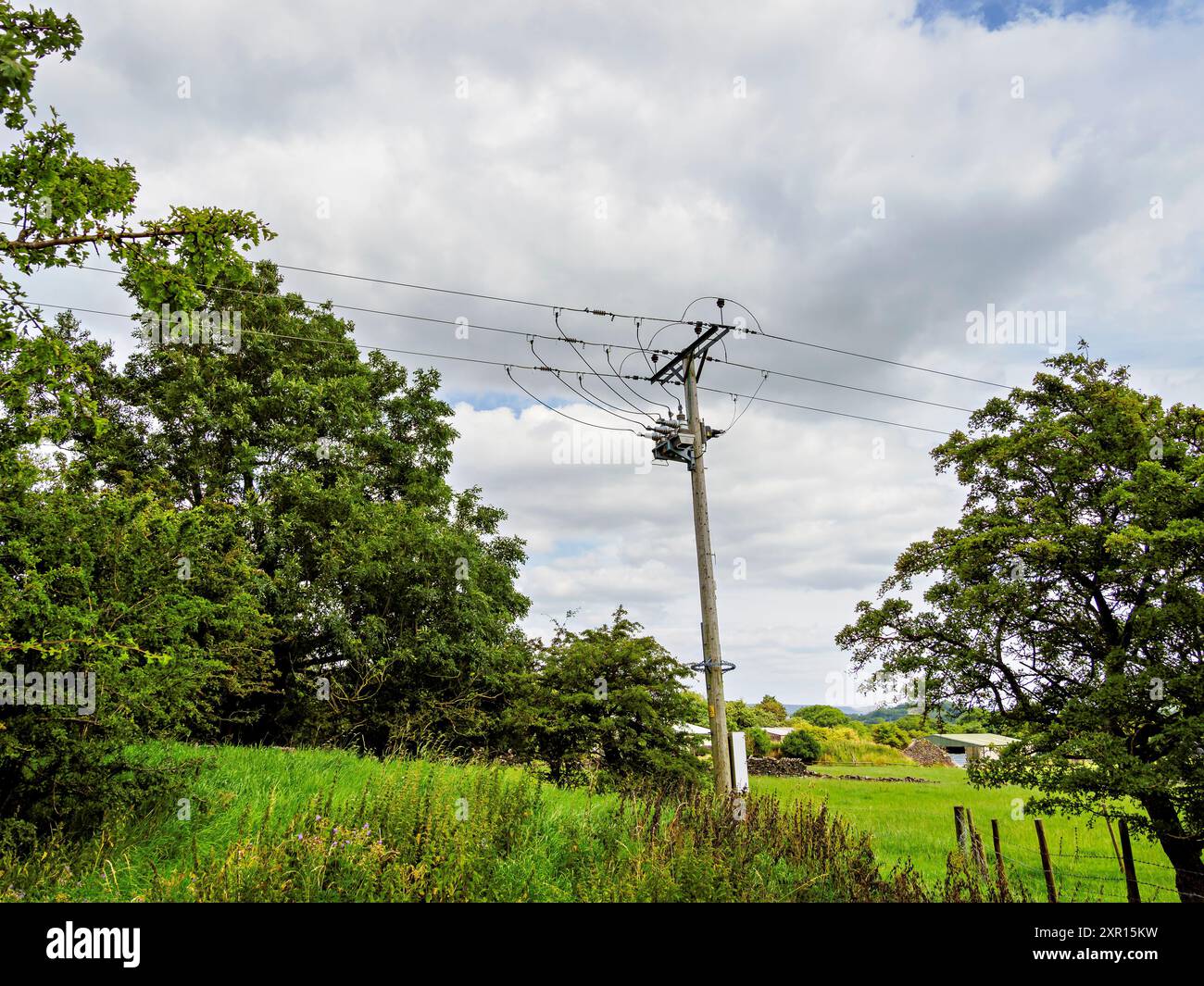 Utility pole and power lines in a lush green countryside with trees ...