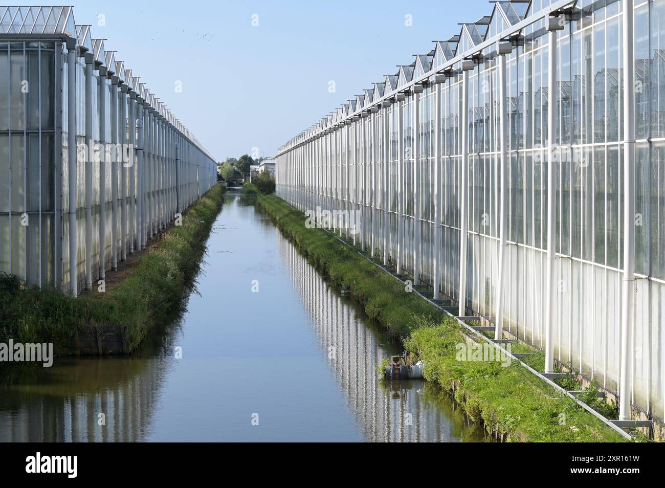 Gewachshauskulturen hires stock photography and images Alamy