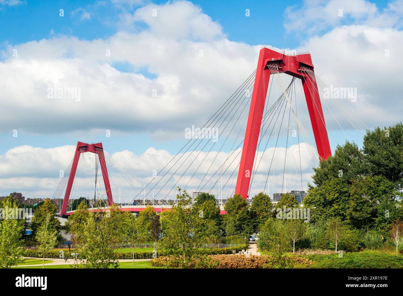 Willemsbridge from Park The iconic Willemsbridge Willemsbrug connecting the city s north with Noorder Eiland. Rotterdam, Netherlands. Rotterdam Ons Park, Noordereiland Zuid-Holland Nederland Copyright: xGuidoxKoppesxPhotox Stock Photo