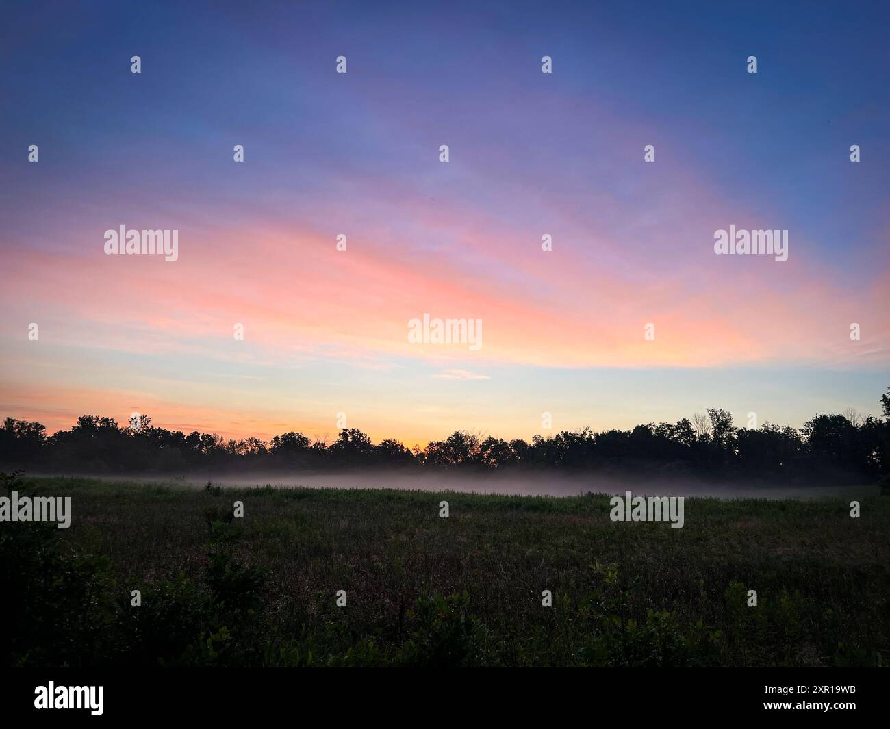 Fog sunrise field hi-res stock photography and images - Alamy
