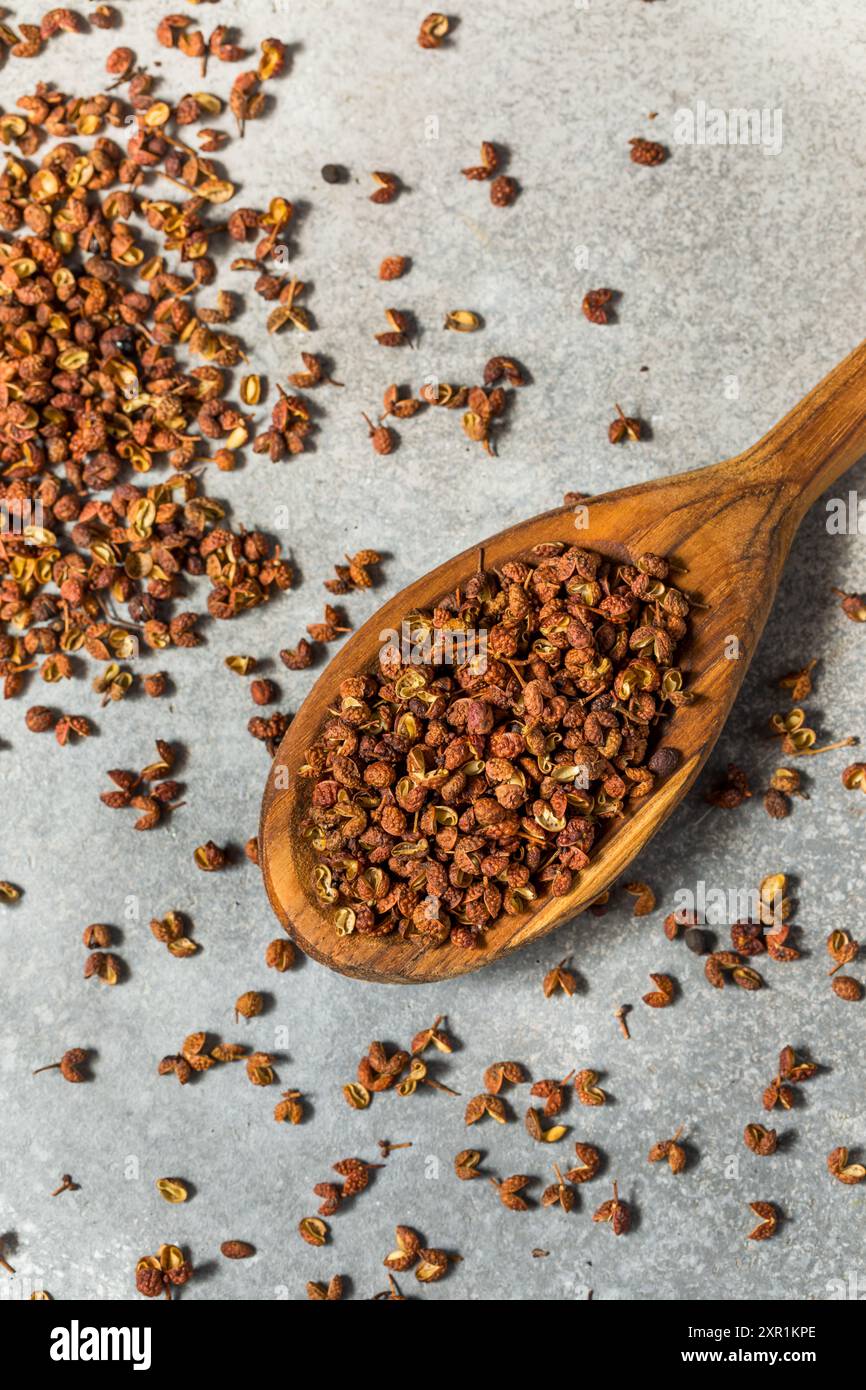 Dry Organic Szechuan Peppercorns Ready to Use Stock Photo