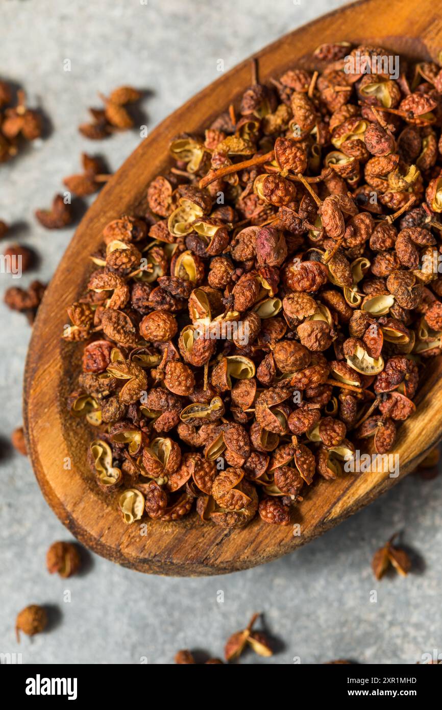 Dry Organic Szechuan Peppercorns Ready to Use Stock Photo
