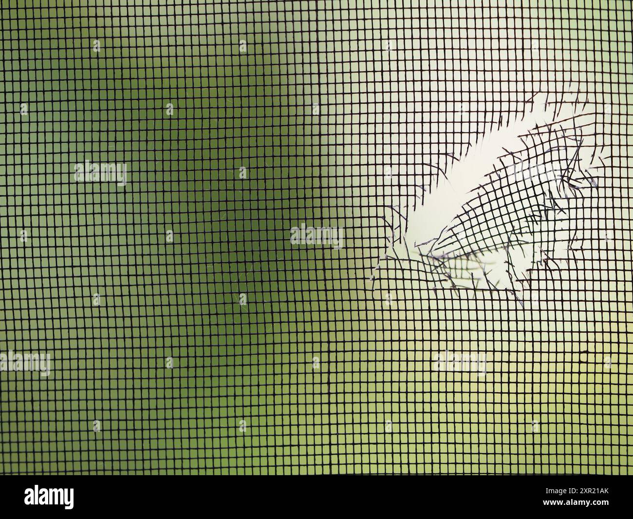 Damaged mosquito window screen. Close-up. Stock Photo