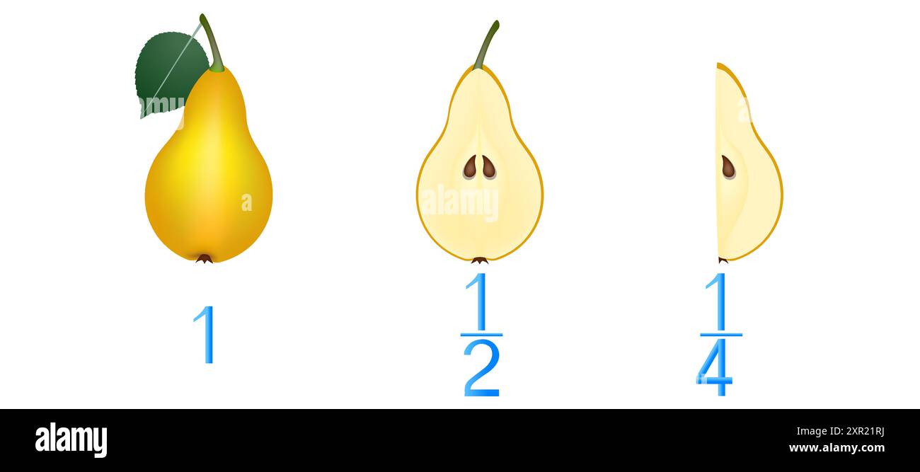 Mathematical games for children. Study the fractions numbers, example ...
