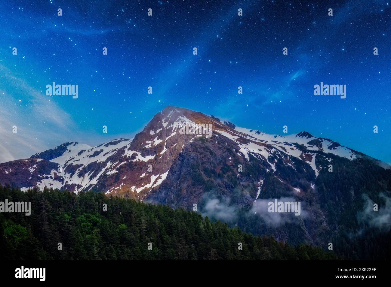 Starry sky over forest hi-res stock photography and images - Alamy