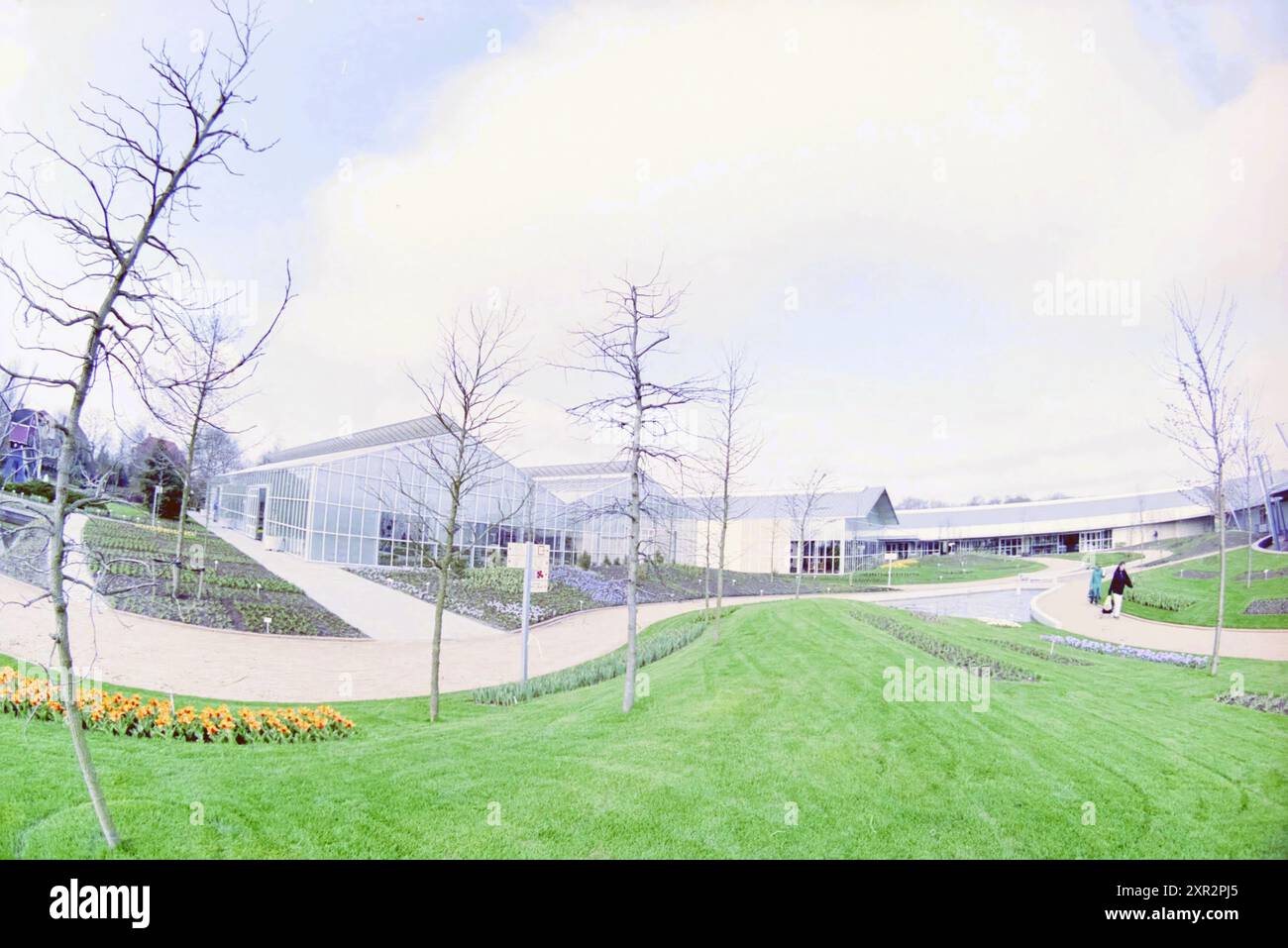 Frans roozen tulip hi-res stock photography and images - Alamy