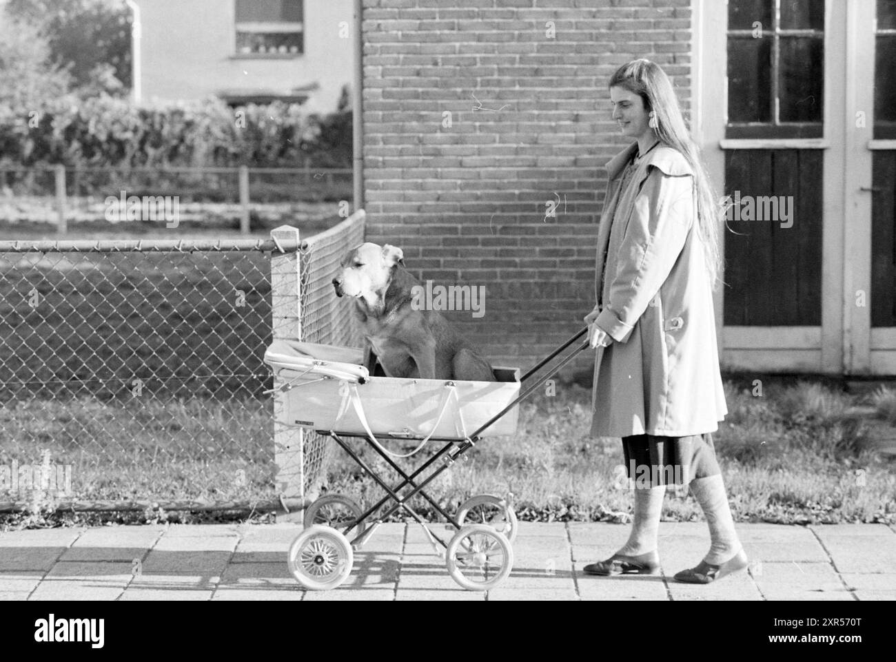 Dutch dog stroller clearance