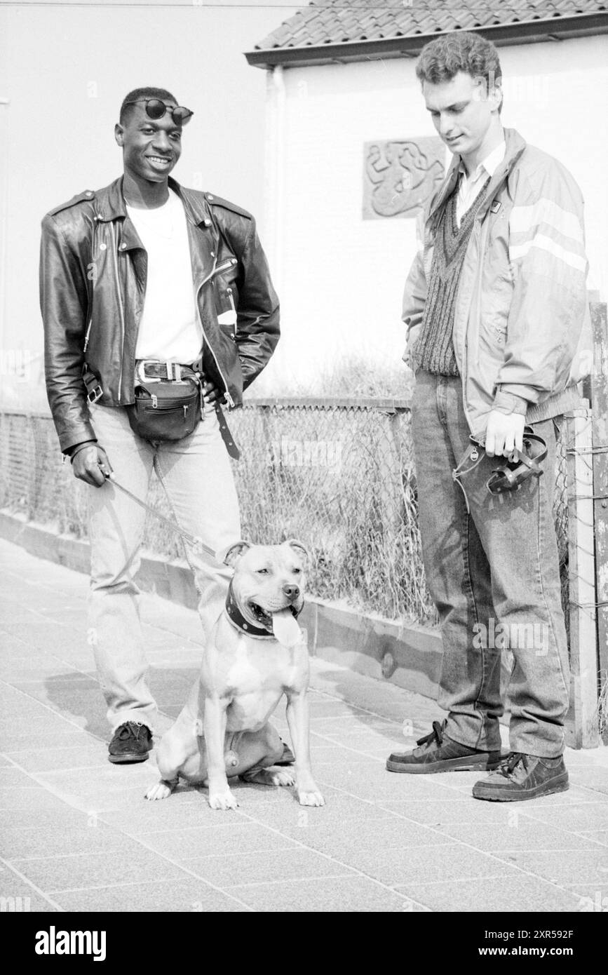 Pitbull terrier muzzle, Dogs, 23-04-1990, Whizgle Dutch News