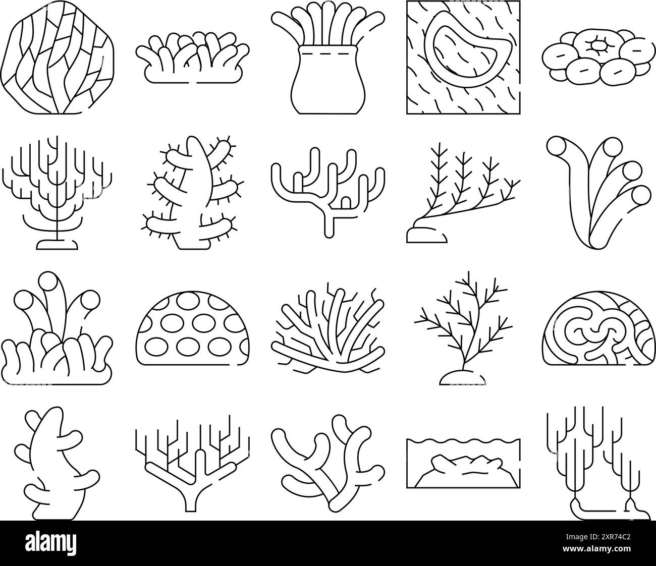 Bush reef Black and White Stock Photos & Images - Alamy