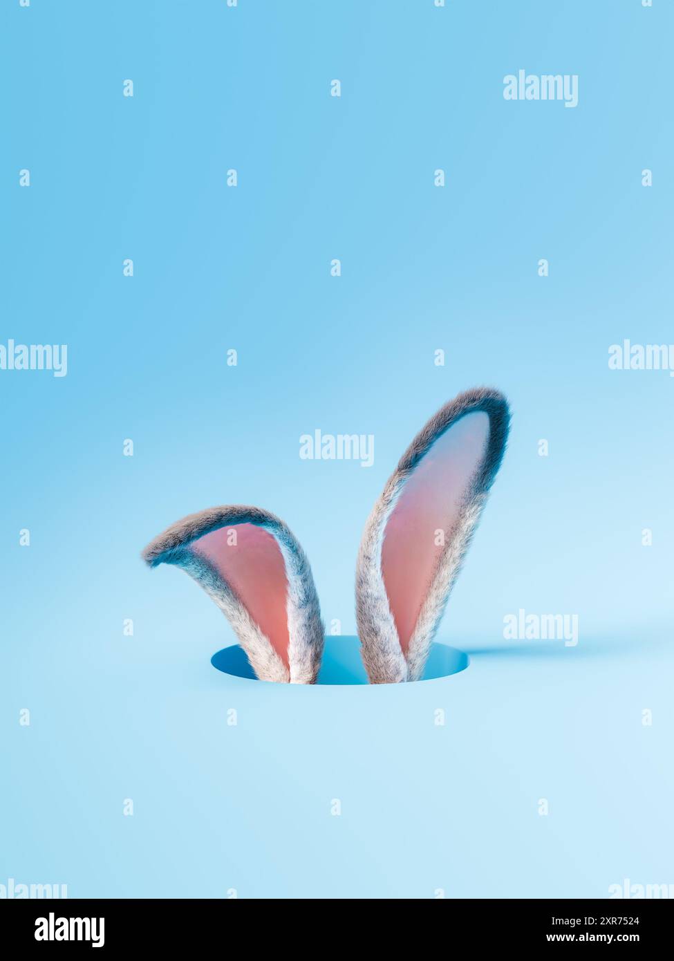 3d rendering of adorable bunny ears popping out from a circular cut-out ...