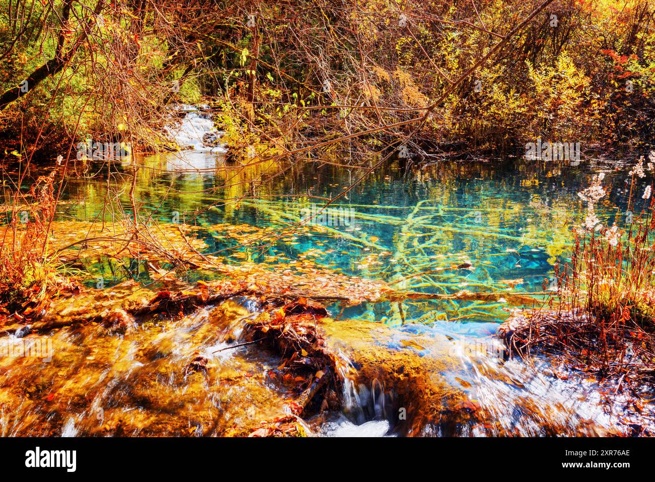 Pond with azure water on one of waterfall levels among woods Stock ...
