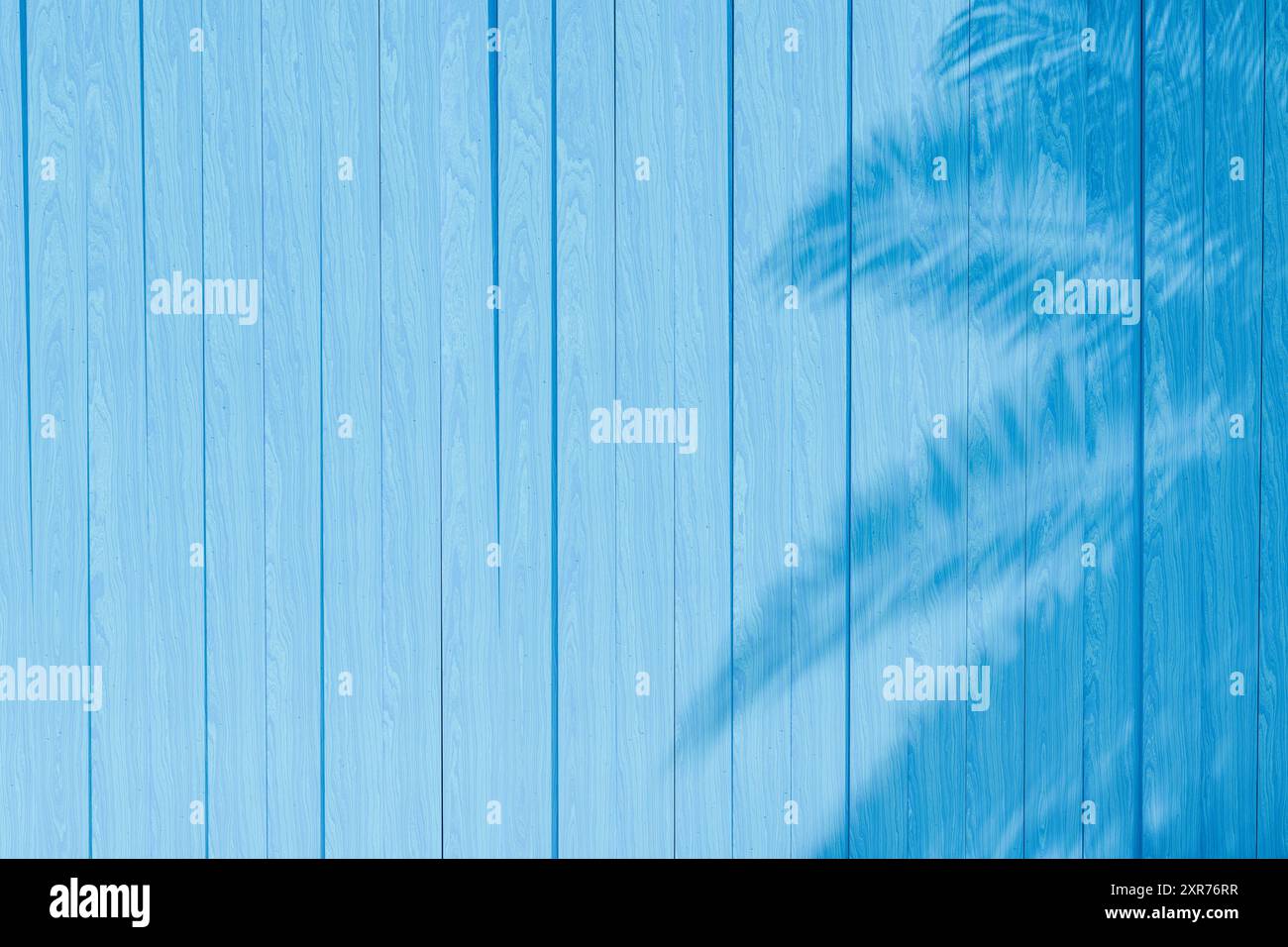 Shadow cast tropical palm hires stock photography and images Alamy