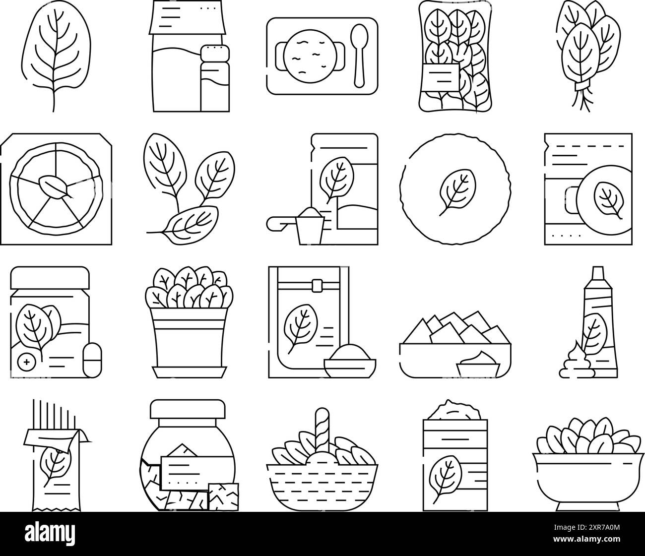 spinach leaf salad green food icons set vector Stock Vector Image & Art ...