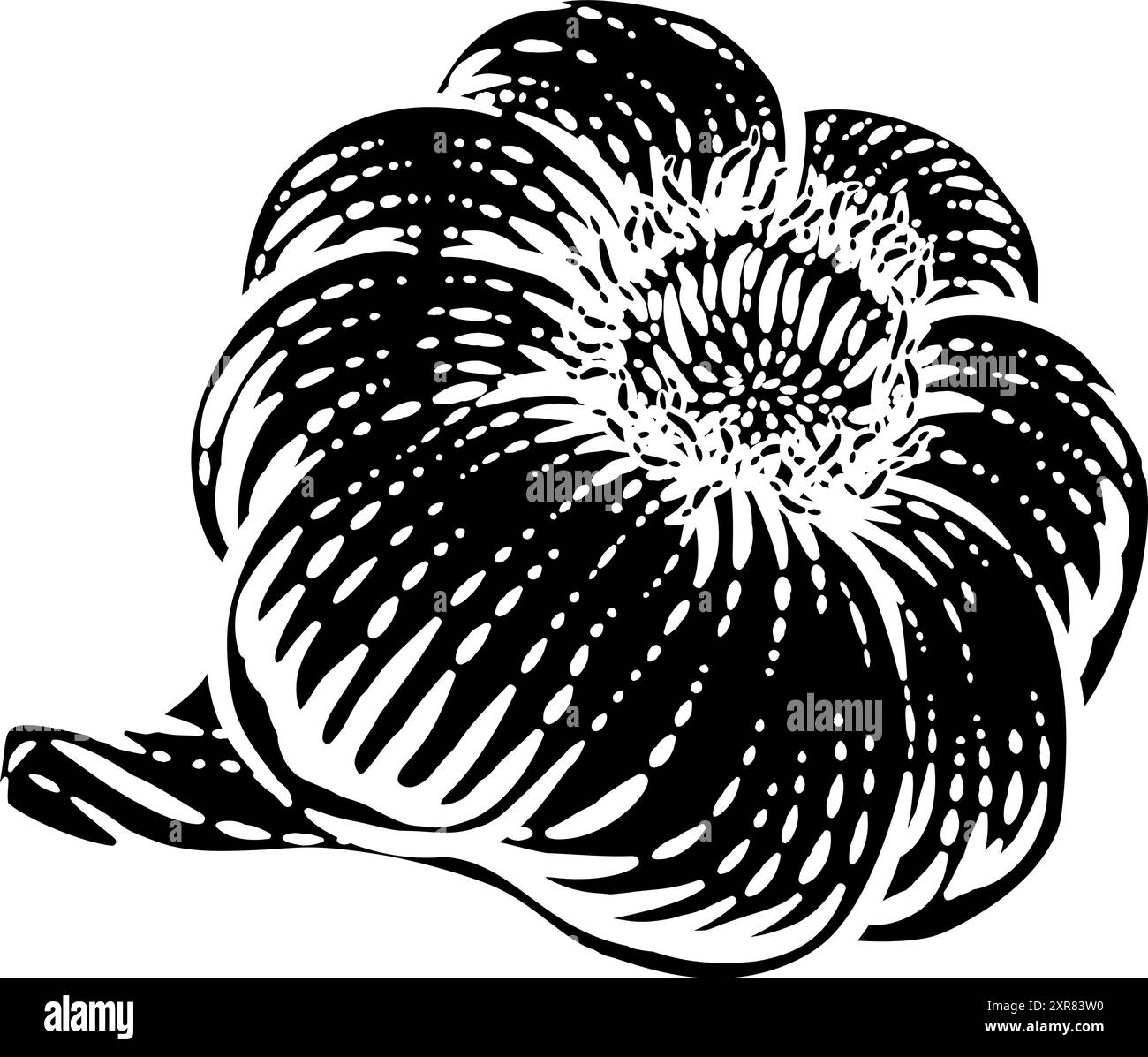 Garlic Vegetable Vintage Woodcut Illustration Stock Vector