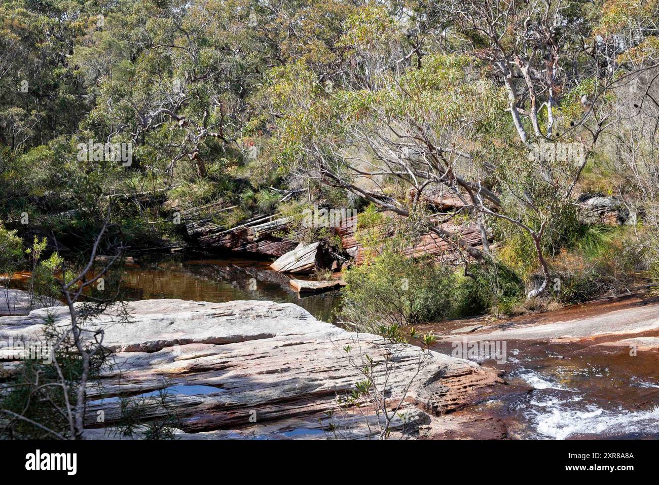 Deer Pool in the Royal National Park on the Bundeena drive to Marley beach walk trail, South Sydney,NSW,Australia Stock Photo