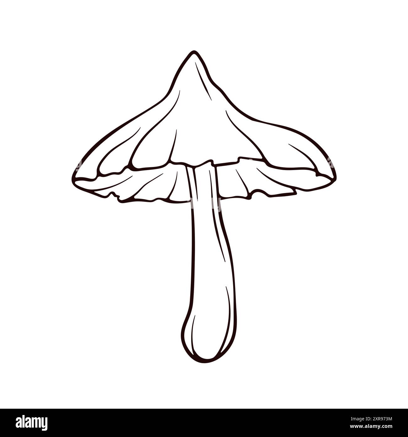 Deadly webcap mushroom Stock Vector Images - Alamy