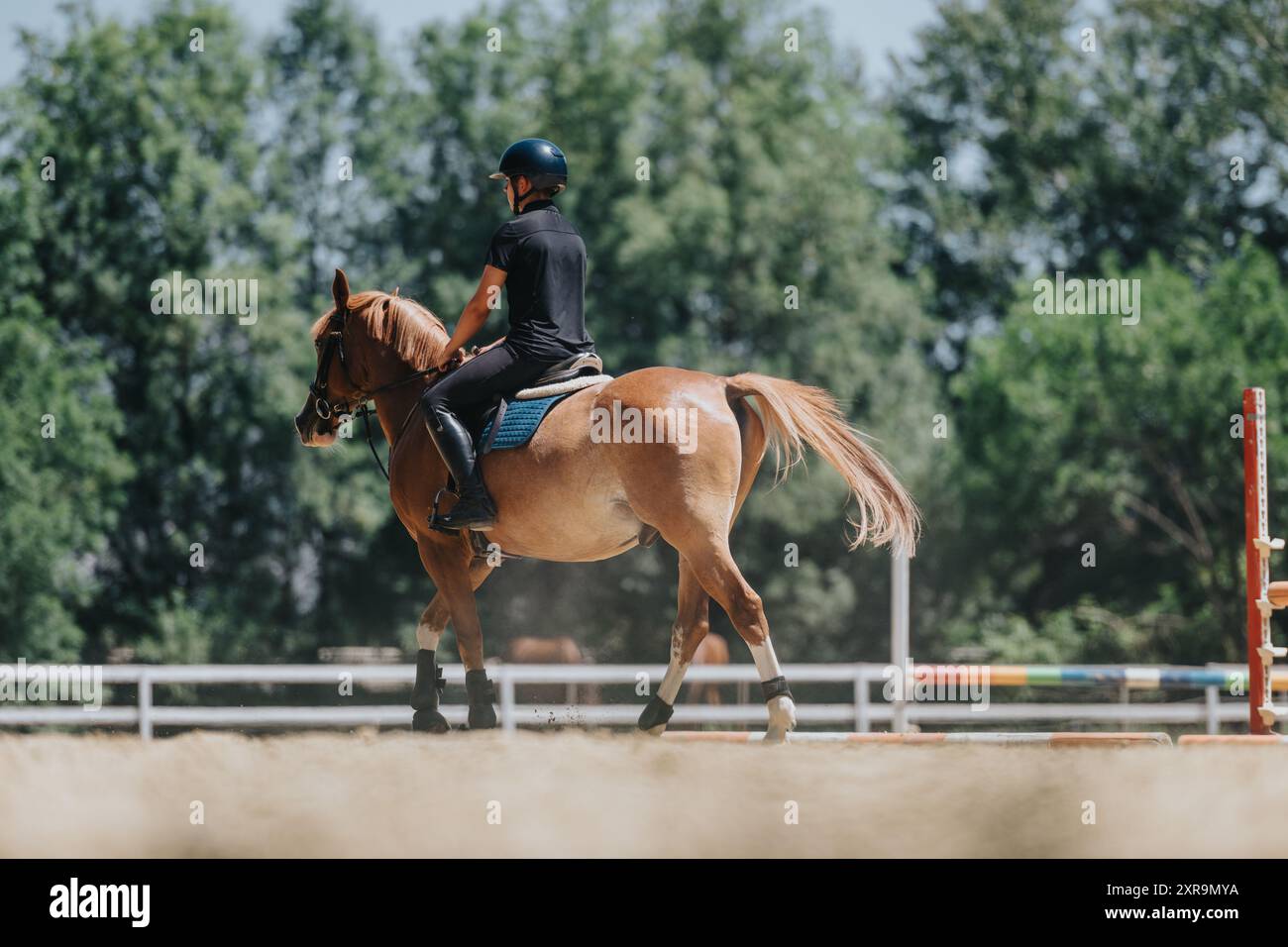 Practice manege hi-res stock photography and images - Alamy
