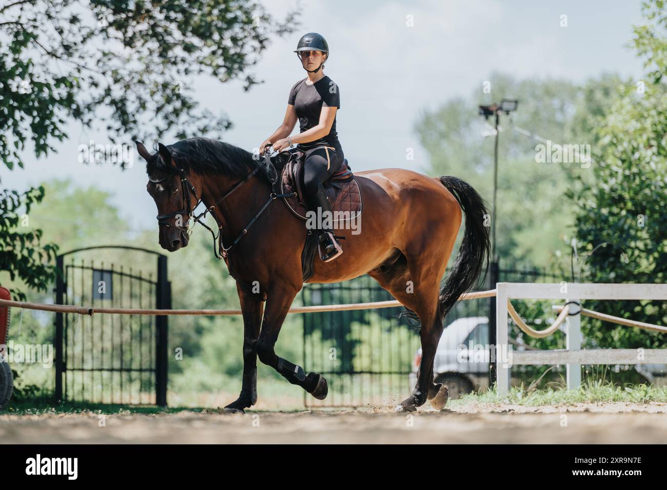 Sunny Rider Young rider enjoying a sunny day riding a horse in an outdoor ...