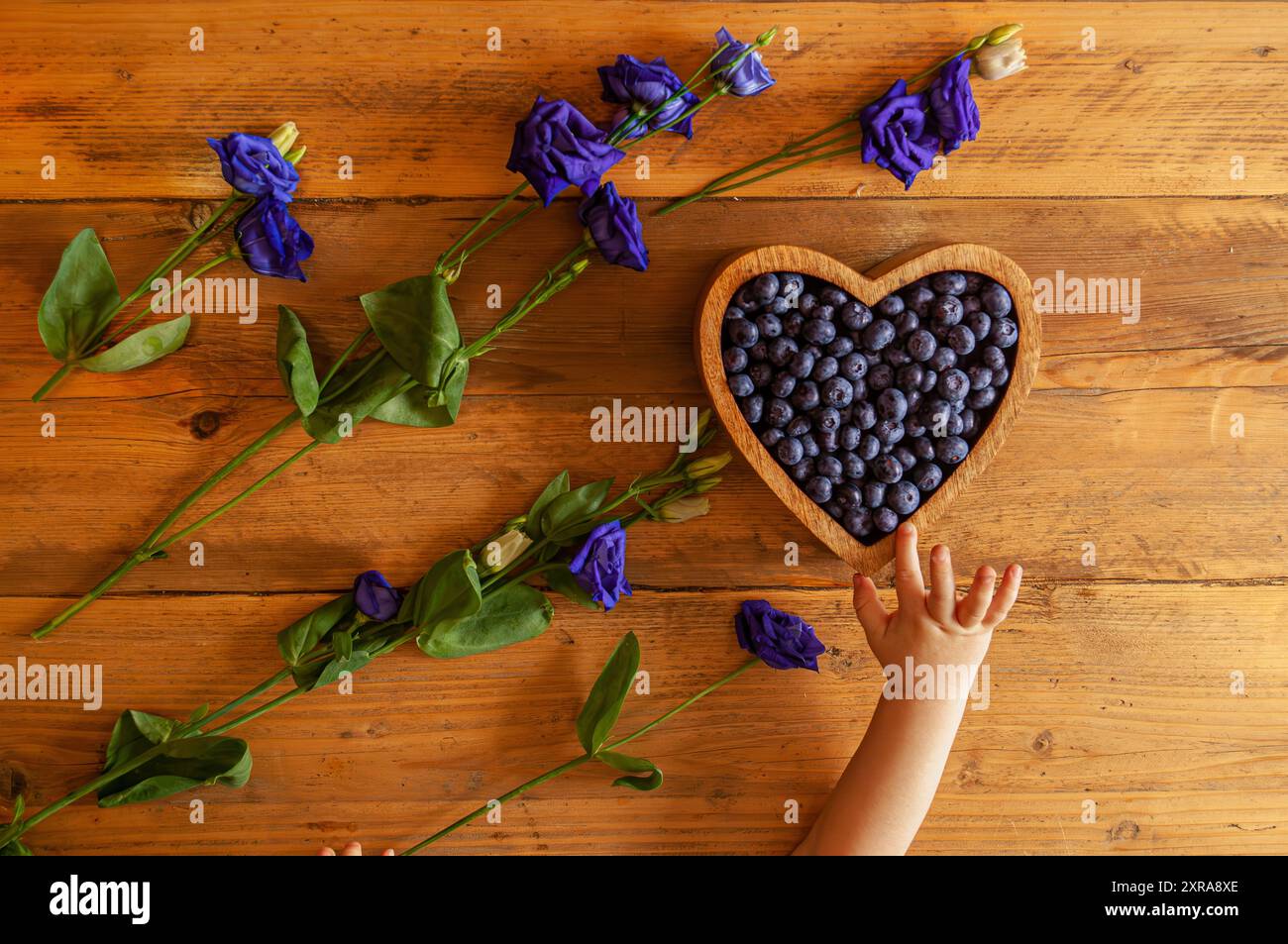 toddler's hand picking blueberries from heart shaped wooden box placed on a wooden table with indigo flowers Stock Photo