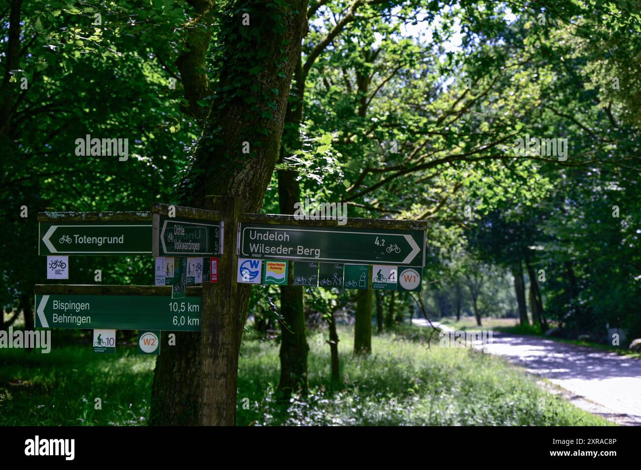 Hinweisschilder fuer Wanderer und Radfahrer in der Lueneburger Heide Foto vom 25.06.2024. Die Lueneburger Heide ist eine grosse, geografisch ueberwiegend flachwellige Heide-, Geest- und Waldlandschaft im Nordosten Niedersachsens in den Einzugsbereichen der Staedte Hamburg, Bremen und Hannover. EDITORIAL USE ONLY *** Signs for hikers and cyclists in the Lueneburg Heath Photo from 25 06 2024 The Lueneburg Heath is a large, geographically predominantly flat heath, geest and forest landscape in the northeast of Lower Saxony in the catchment areas of the cities of Hamburg, Bremen and Hanover EDITOR Stock Photo