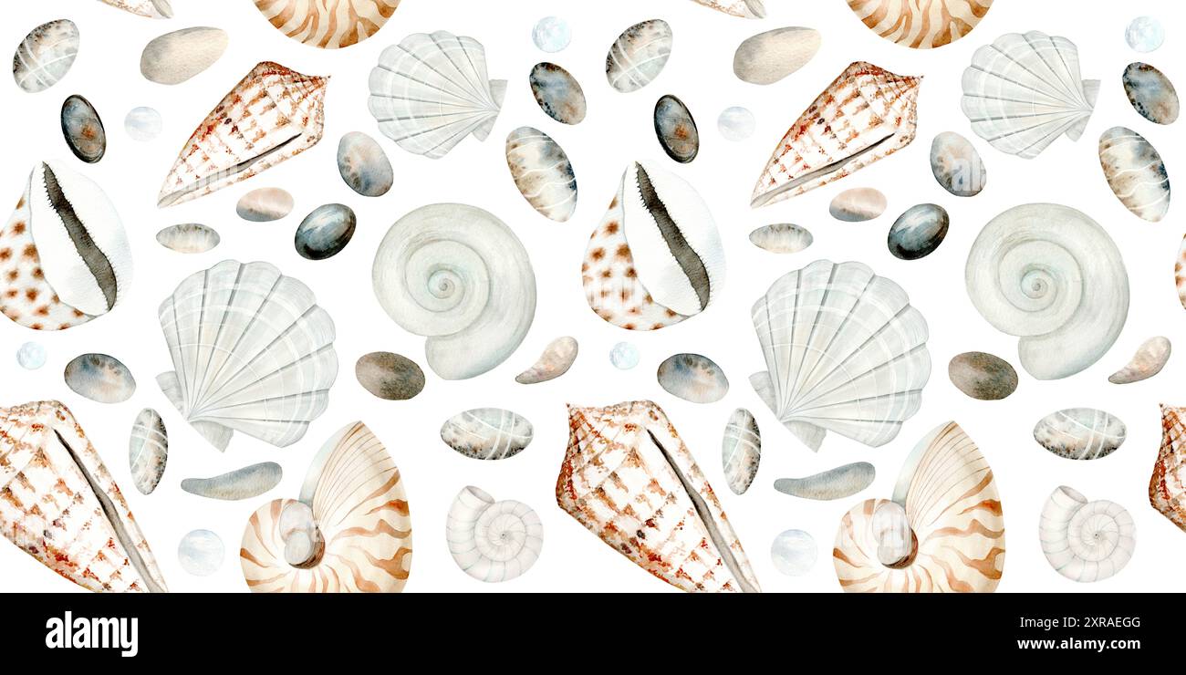 Sea Shells and Pebbles. Seamless Pattern on white background ...