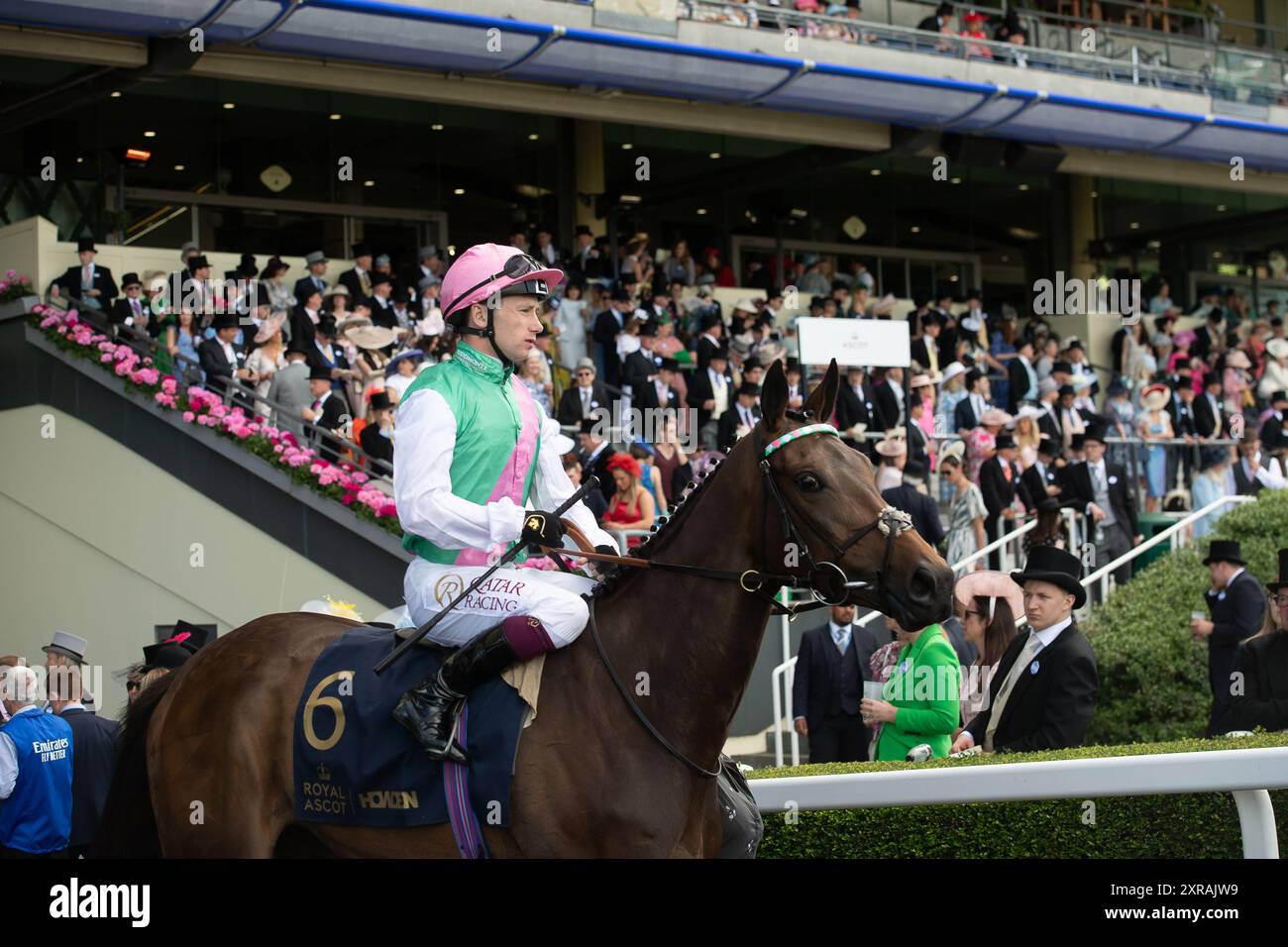 kalpana-horse-ascot-hi-res-stock-photography-and-images-alamy