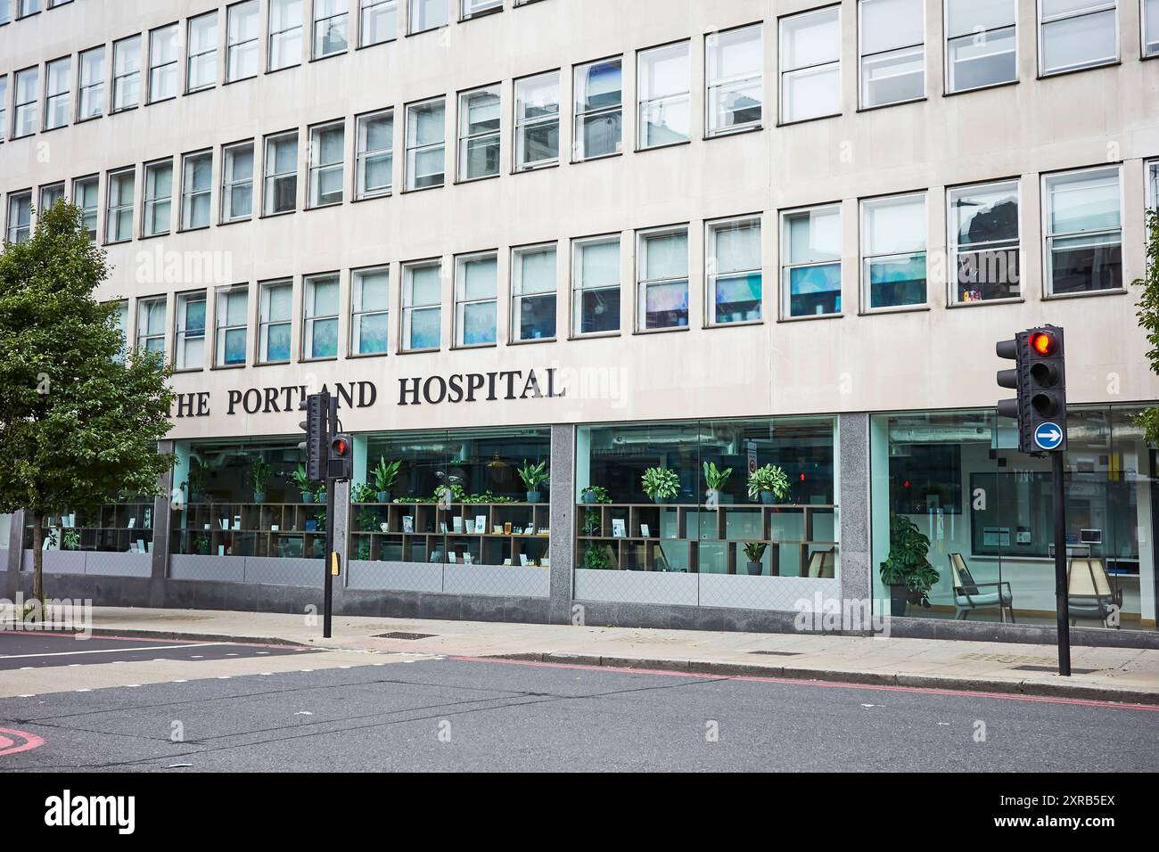 The Portland Hospital A Private Treatment Centre Which Specialises In uk-government-expenditure-pie-chart