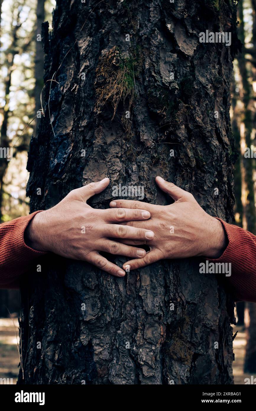 Nature lover hugging trunk tree with green musk in tropical woods ...