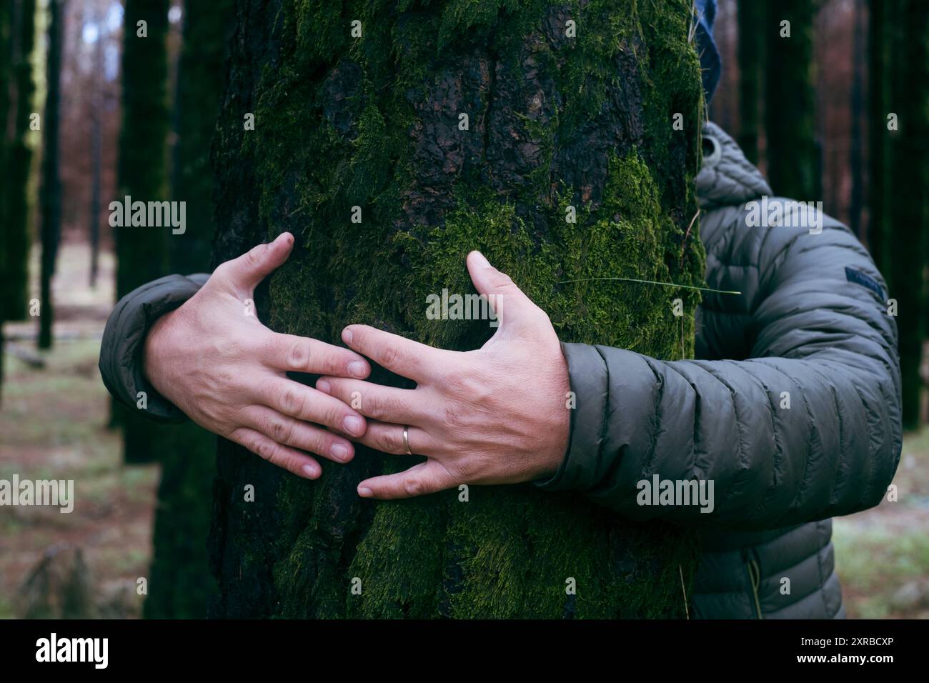 Nature lover hugging trunk tree with green musk in tropical woods ...