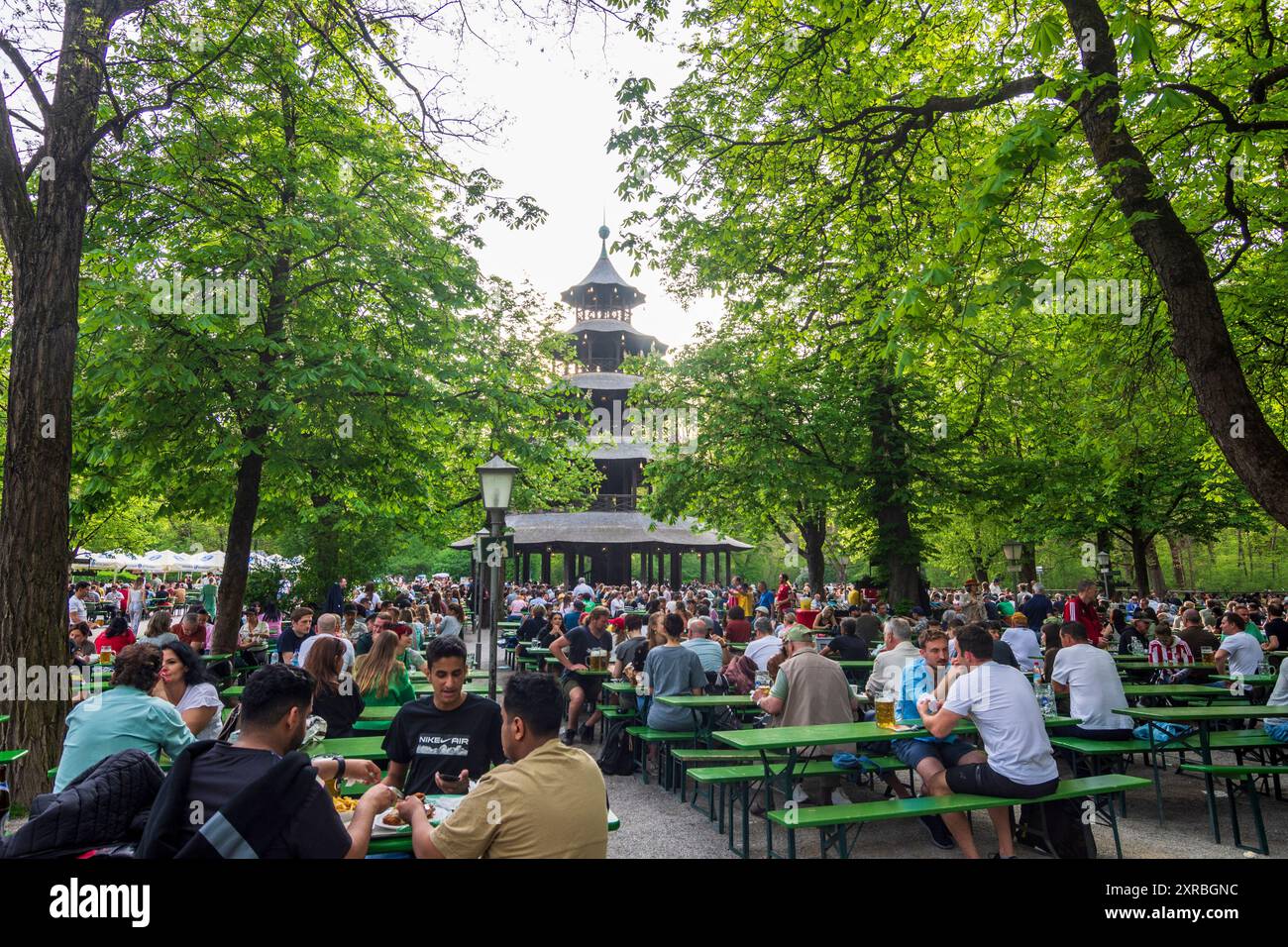 Munich, beer garden at Chinese Tower, blossoming chestnut trees, park