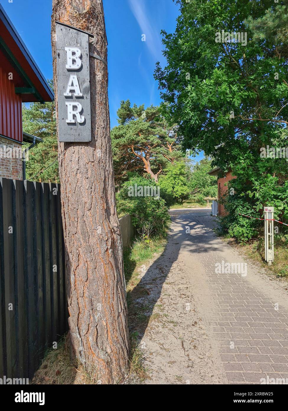 In the foreground, a sign with the inscription BAR hangs on a tree trunk on the way to the beach in the Baltic seaside resort of Prerow, Mecklenburg-Vorpommern, Germany Stock Photo