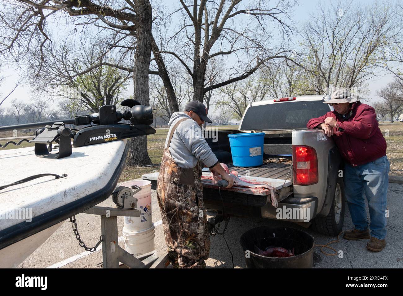 A fisherman & guide cleans & filets blue catfish for customers after a  guided trip on the tailgate of his truck while another man looks on. USA Stock Photo