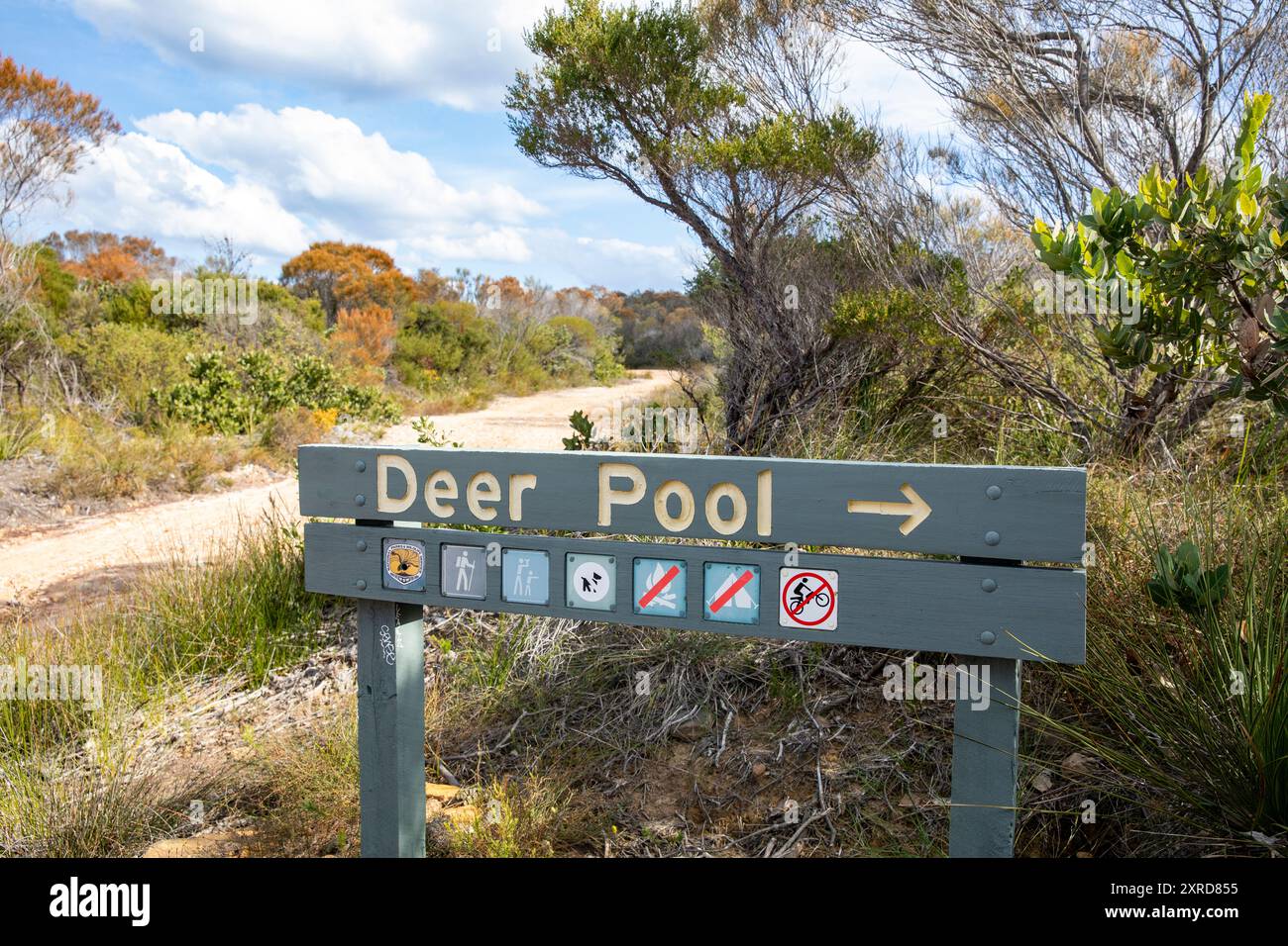 Deer pools royal national park hi-res stock photography and images - Alamy