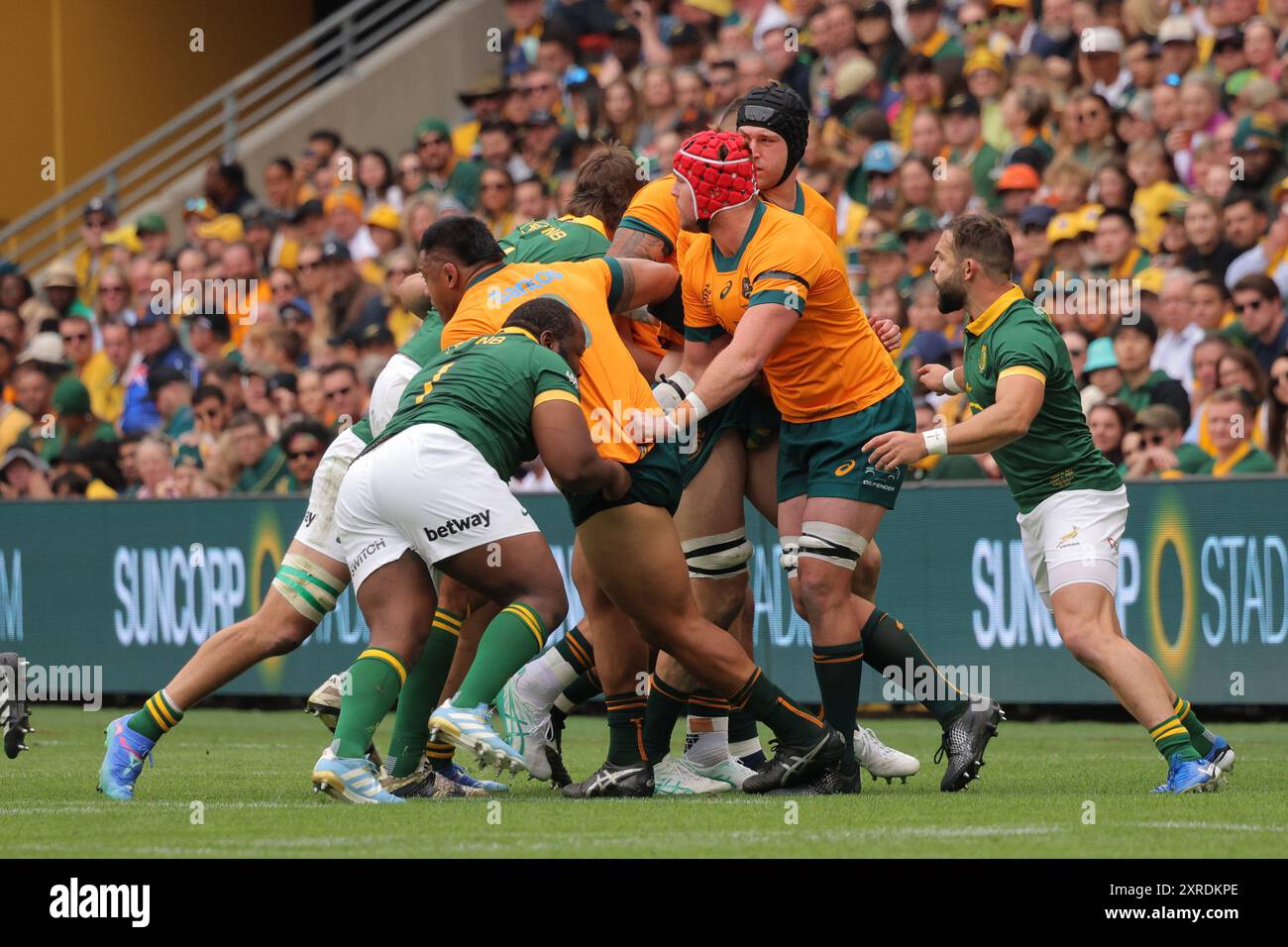 Springboks rugby championship 2024 hi-res stock photography and images ...