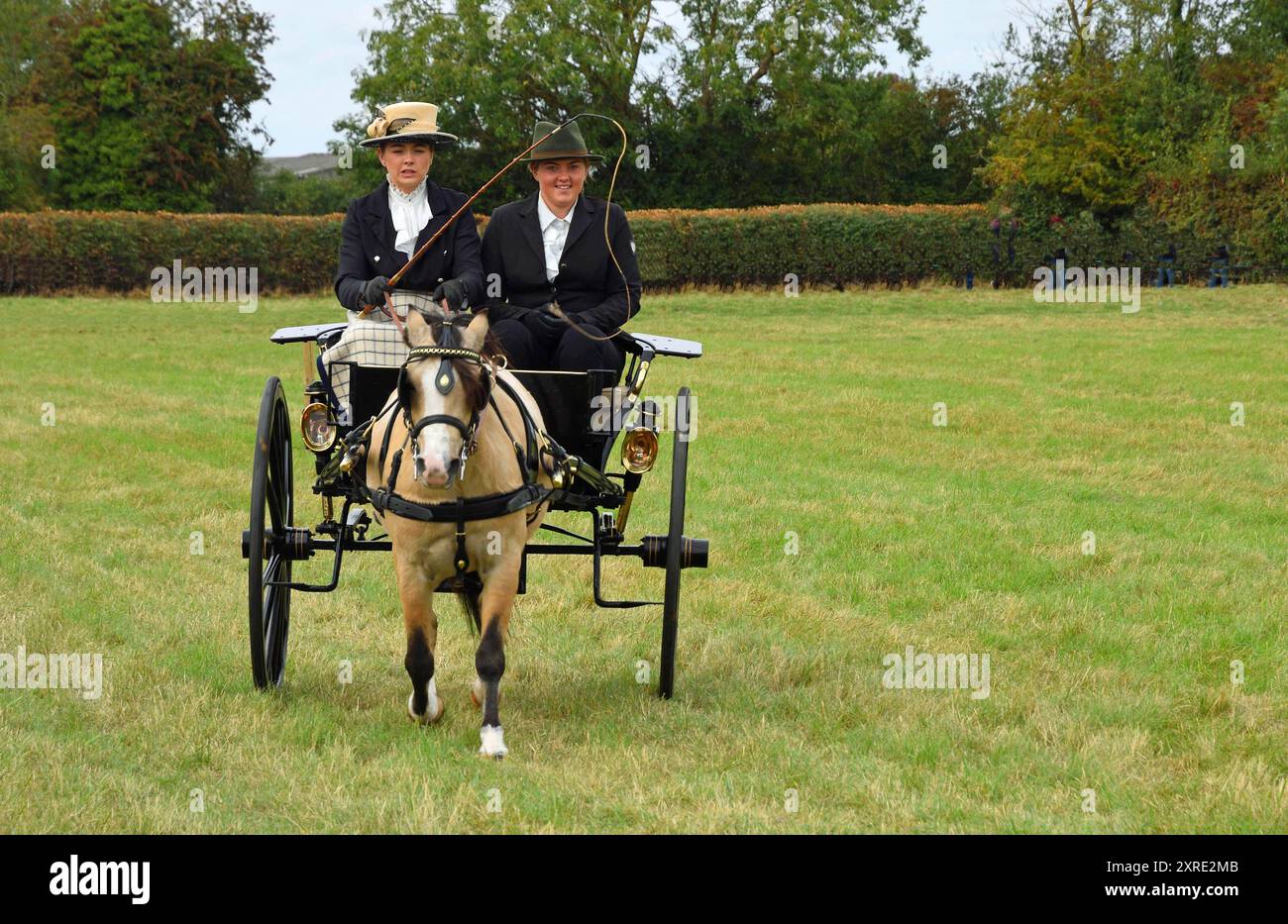 Carriage driving Gig with single horse and driver and passenger in field. Stock Photo