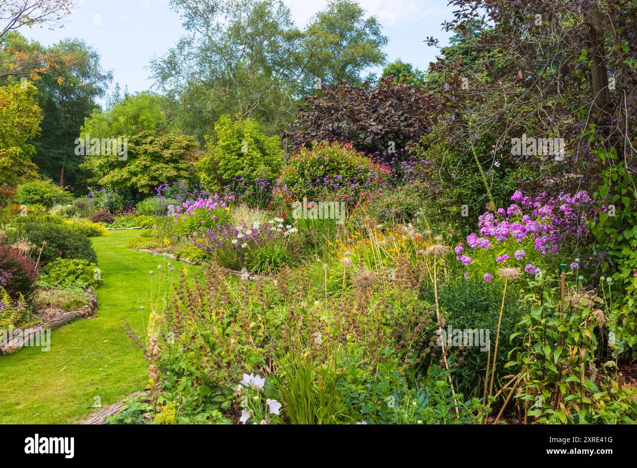 Perennials on herbaceous border borders hi-res stock photography and ...