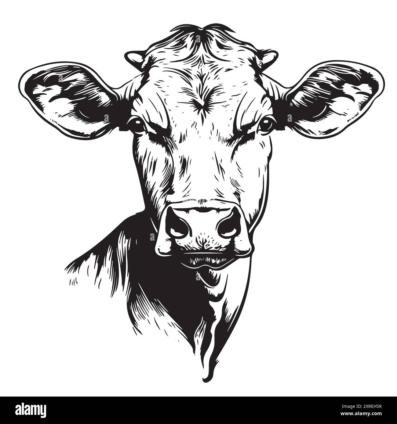 Farm cow head face logo sketch hand drawn line art engraving Vector ...