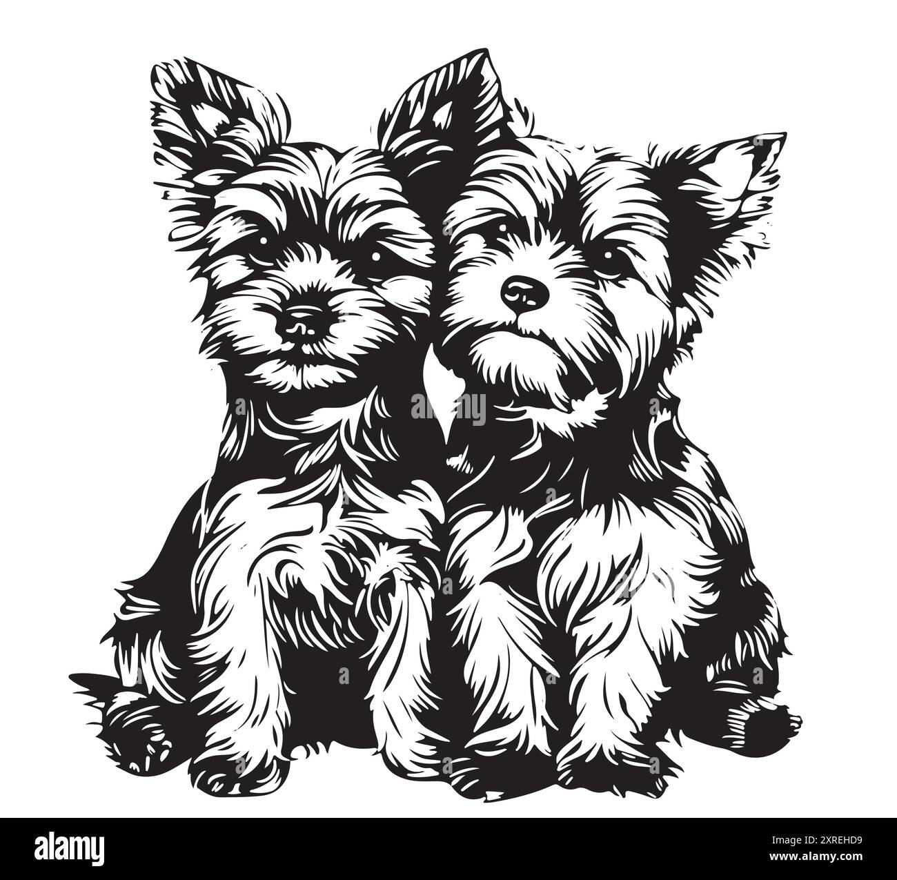 Yorkie dogs Yorkshire terrier, dog portrait Vector illustration Stock ...