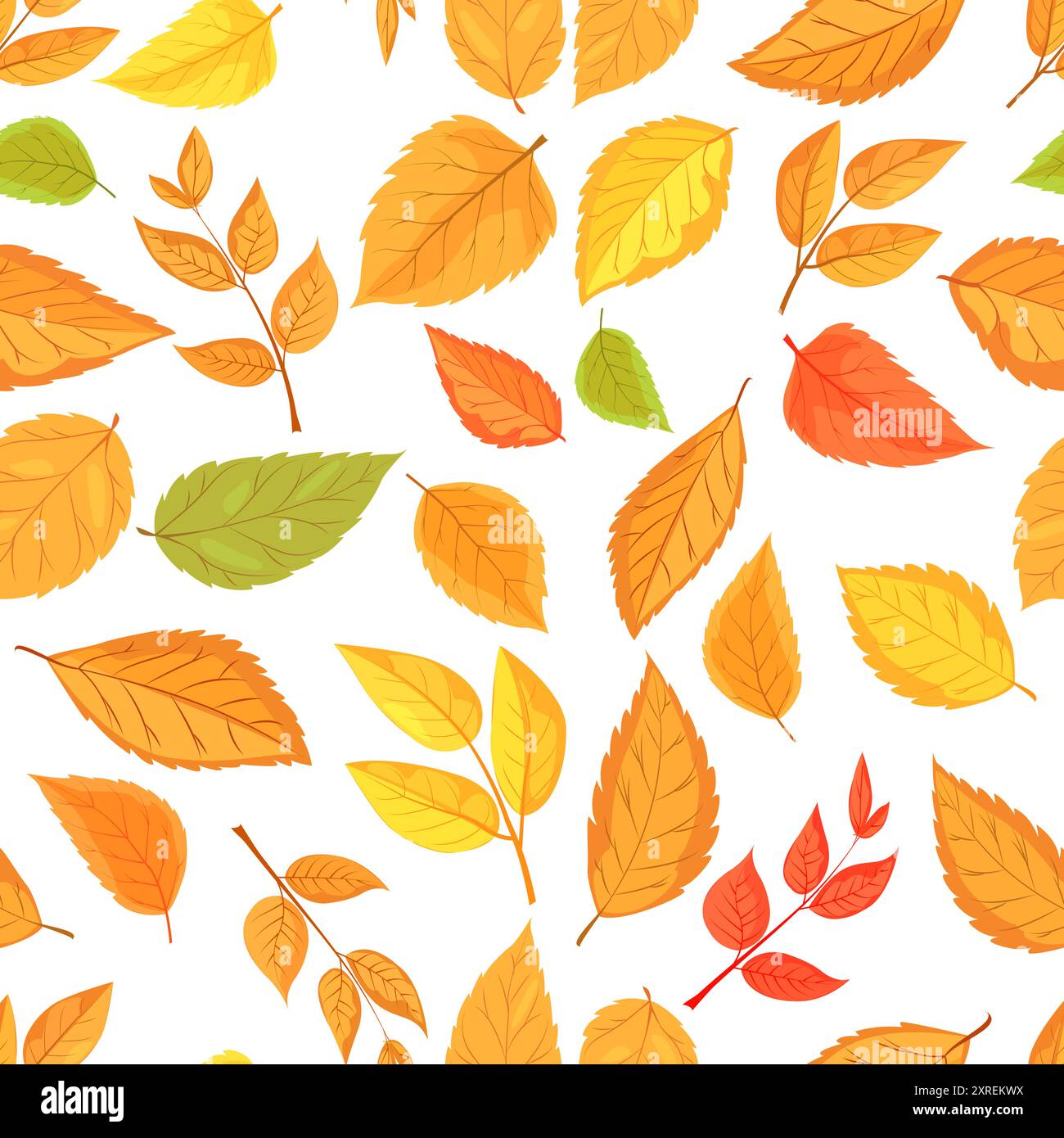 Colorful autumn leaves in various shades and shapes on a white ...