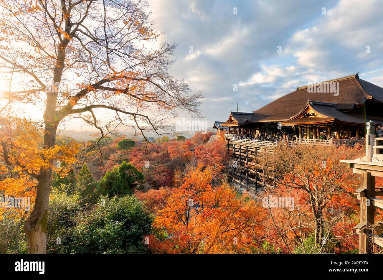 Red fall leaves at Kiyomizu-dera temple in Kyoto, Japan Stock Photo - Alamy
