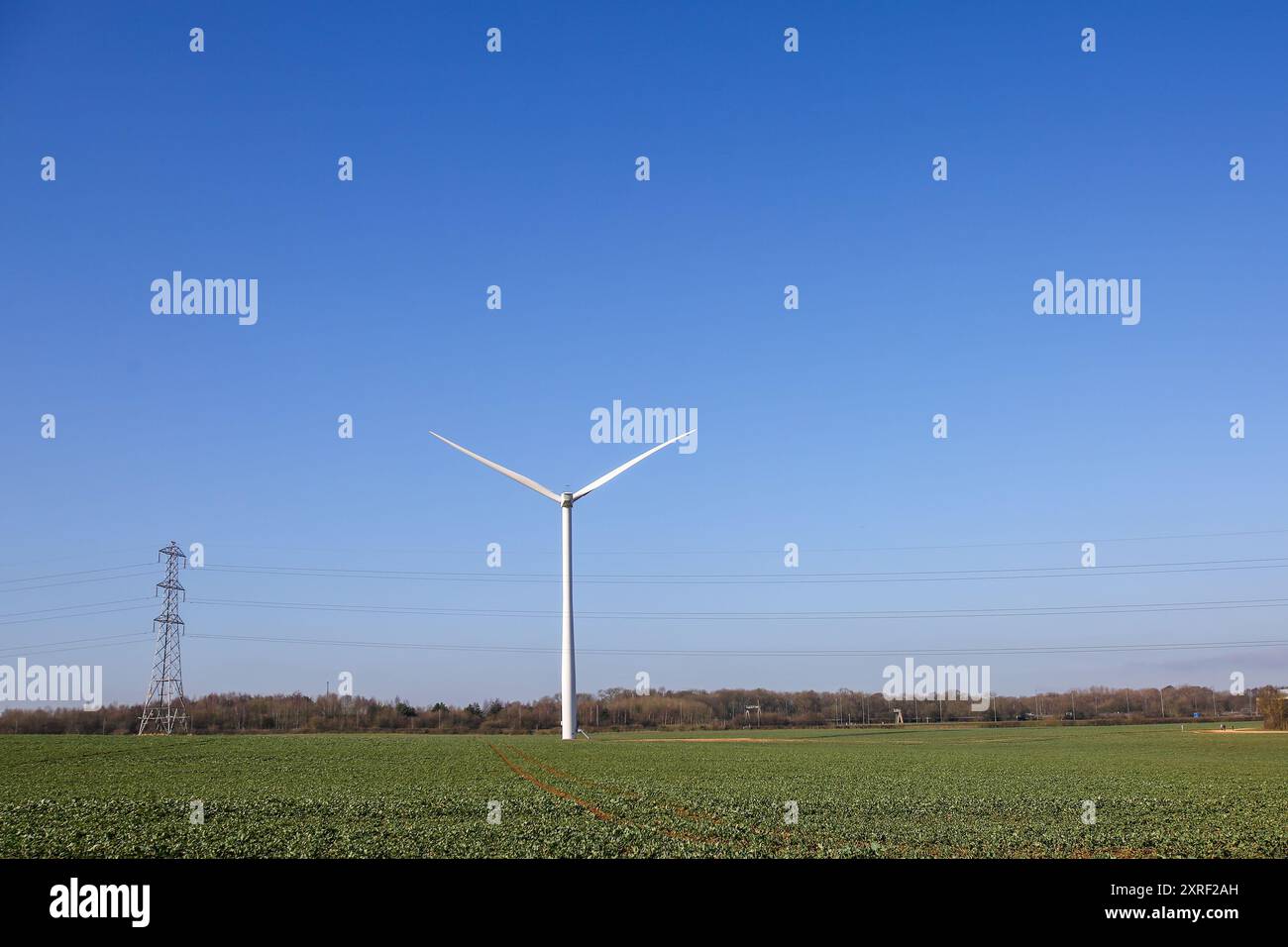 Hook Moor Wind Farm, Aberford, Leeds, West Yorkshire in bright winter weather.  The wind farm runs alongside the junction of the M1 and the A1. Stock Photo