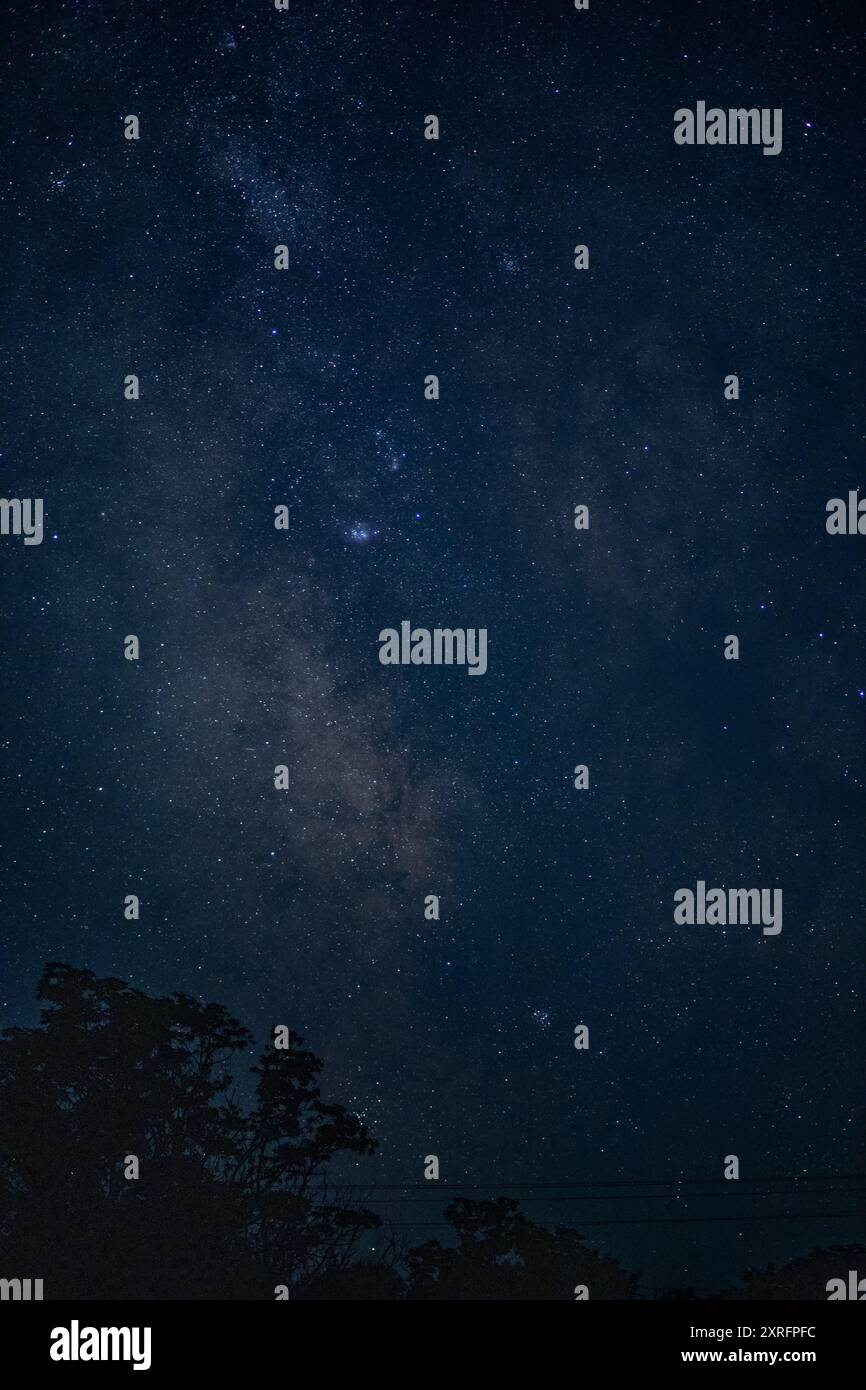 STARRY SKY WITH THE MILKY WAY Stock Photo - Alamy