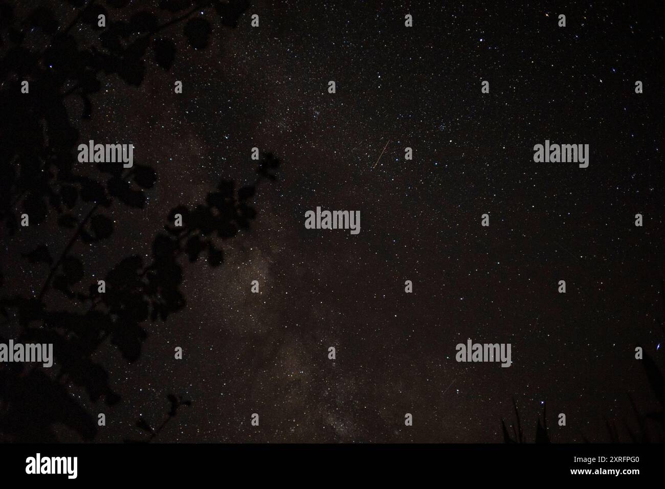 STARRY SKY WITH THE MILKY WAY Stock Photo - Alamy