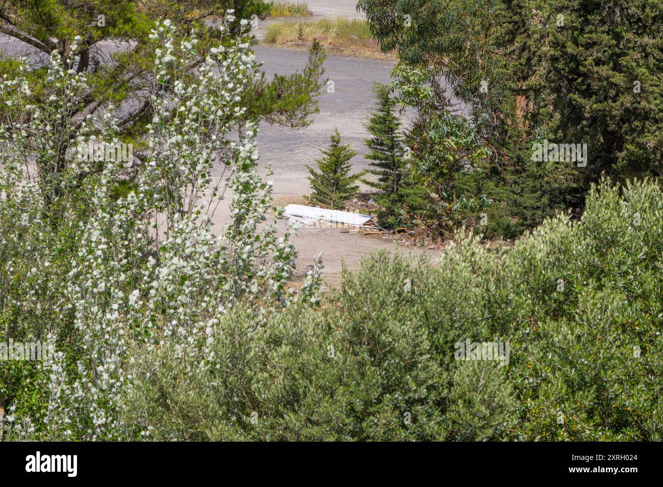 Garbage polluting nature between trees in a forest Stock Photo