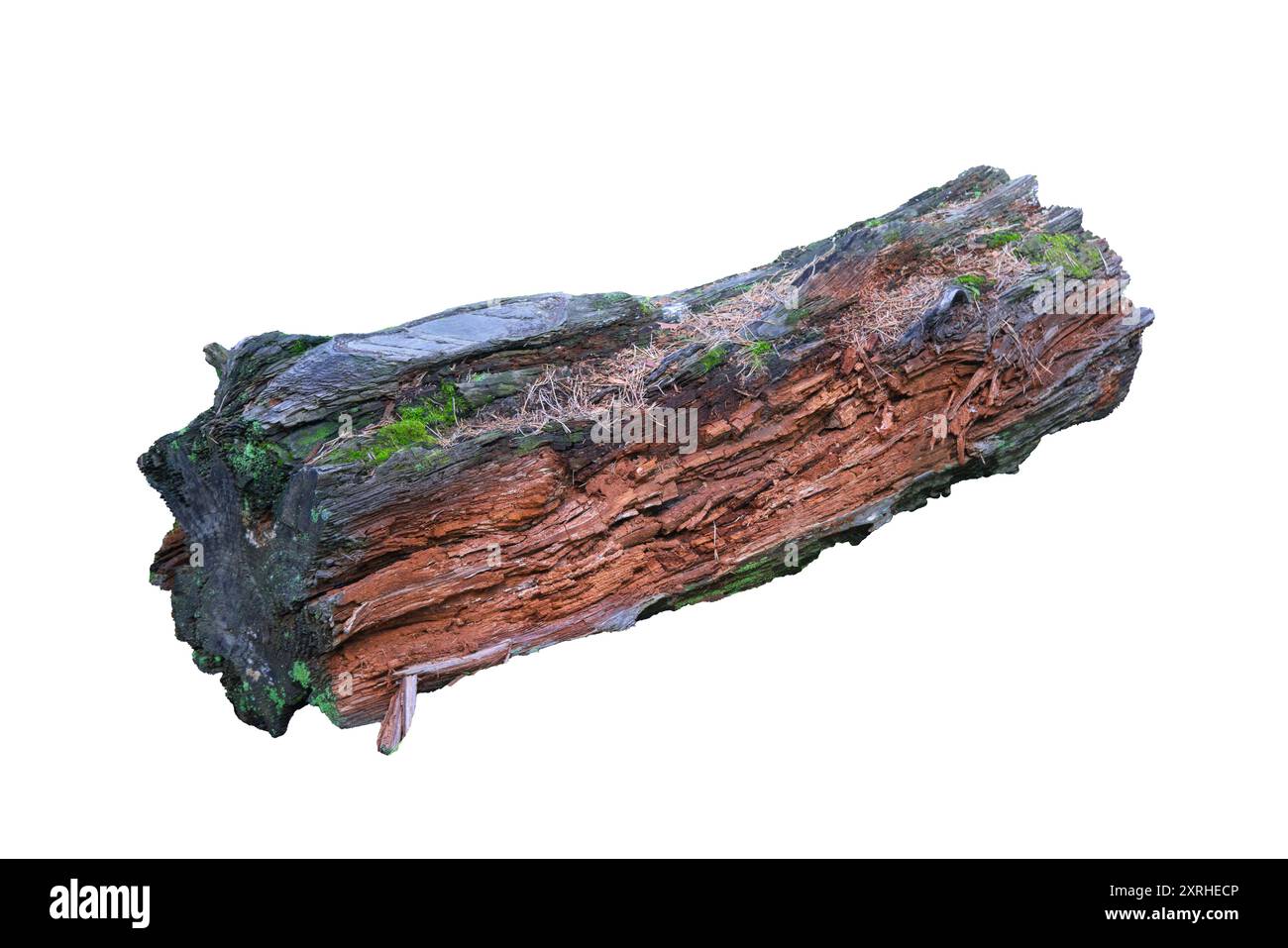 Rotten piece of board Cut Out Stock Images & Pictures - Alamy