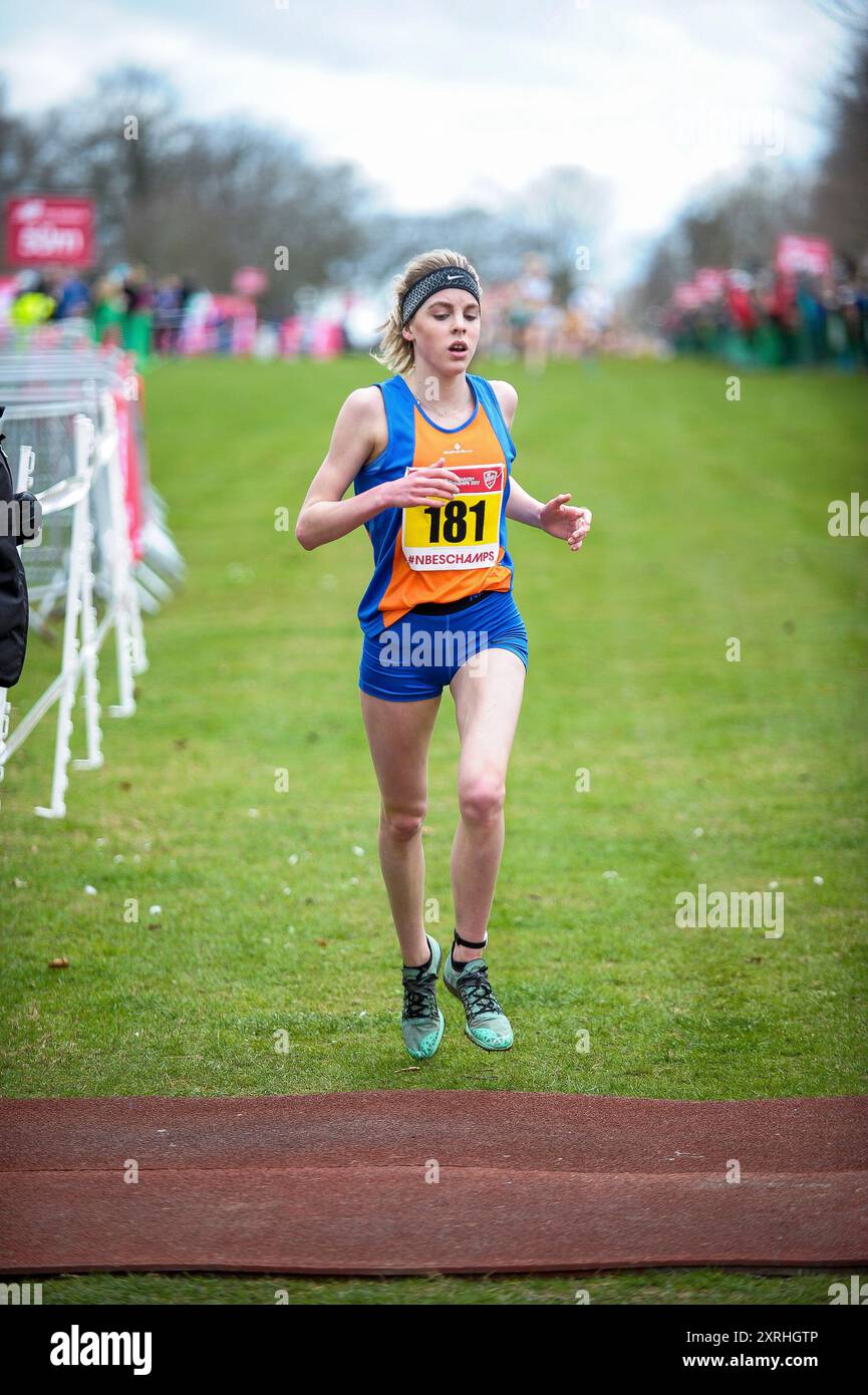 Keely Hodgkinson of Greater Manchester competing in the Inter Girls race at the English Schools Cross Country Championships, Norfolk Showgrounds, Norw Stock Photo