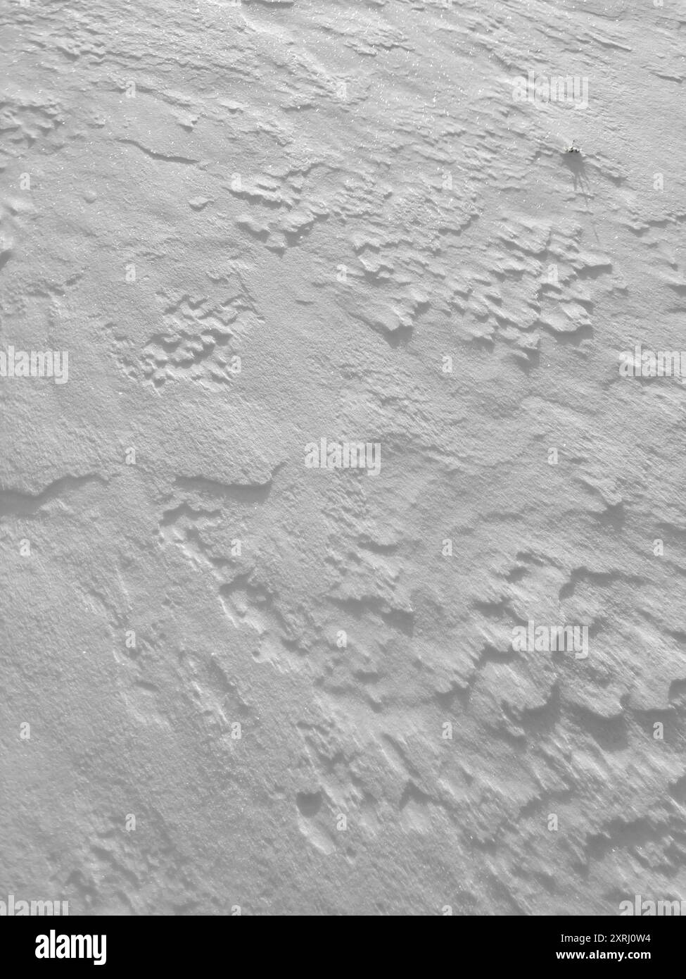Displays intricate textures hi-res stock photography and images - Alamy