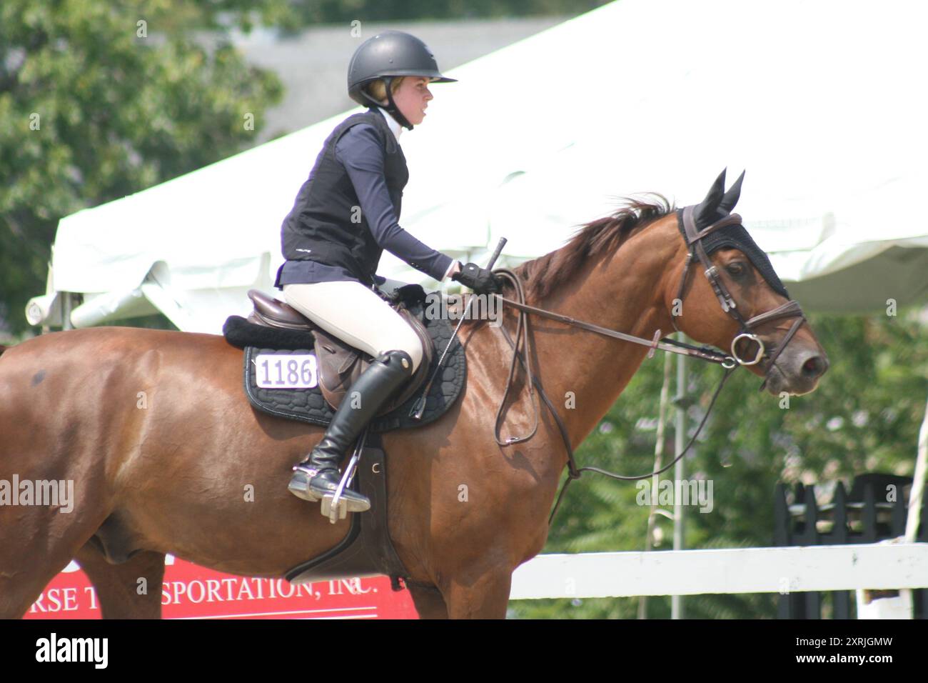 Bluegrass Festival Horse Show 2023 held at Kentucky Horse Park, Lexington, Kentucky, USA Stock Photo