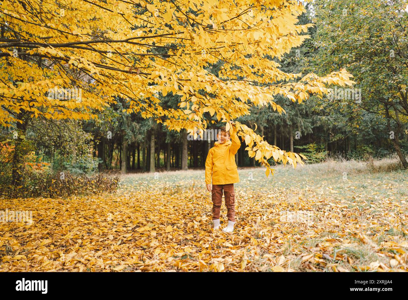 A cheerful child in a yellow raincoat walks through the forest Stock ...